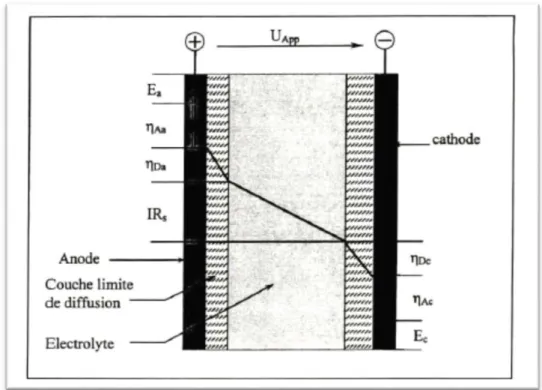 Figure 6 : Les différentes composantes de la tension aux bornes d’une cellule électrochimique [45]