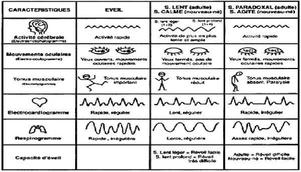 Figure 1.9: L'activité corporelle lors de sommeil.