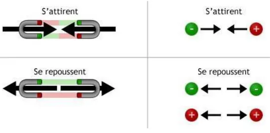 Figure I.7. Attraction et repoussement des aimants et des charges [18]. 