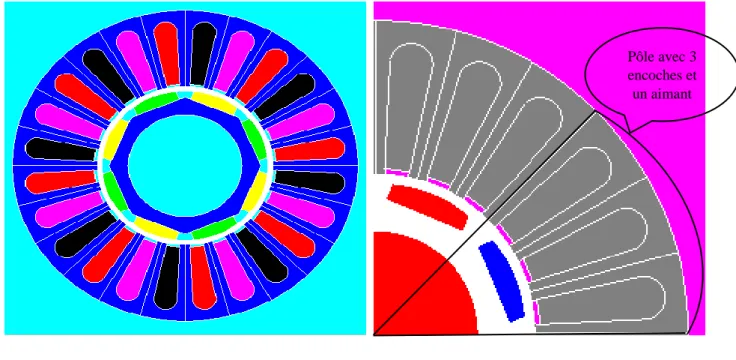 Figure II-2 (a) structure de la MSAP posé en surface dans Flux 2D ; (b) coupe de la machine qui  montre deux pôles