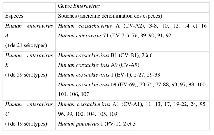 Tableau  I.  Espèces  virales  appartenant  au  genre  Enterovirus  infectant  l’homme  et  noms  correspondants de l’ancienne nomenclature