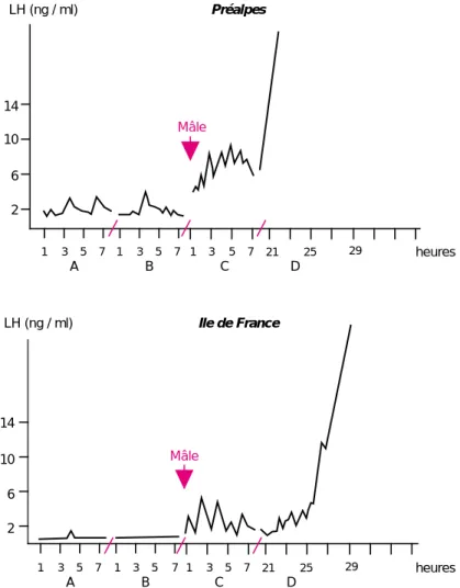 Figure 2. Fréquence des décharges pulsatiles de LH chez des brebis anovulatoires avant et après mise en contact avec un bélier (d’après Poindron et al 1980).