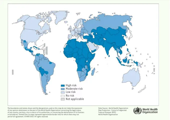 Figure 1: Illustration  géographique de risque de  la rage dans le monde (OMS, 2010). 