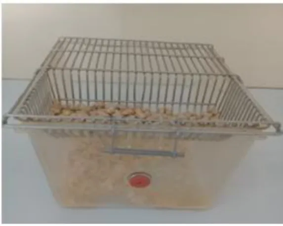 Figure 6 : Cage rectangulaire d’élevage. 
