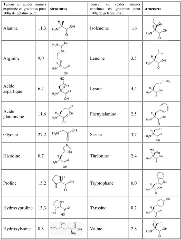 Tableau I.1 : Différentes fractions en acides aminés entrant dans la composition de la gélatine  (Karim et al., 2008)