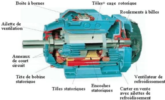 Figure I.1. Les éléments de constitution d'une machine asynchrone [6]. 