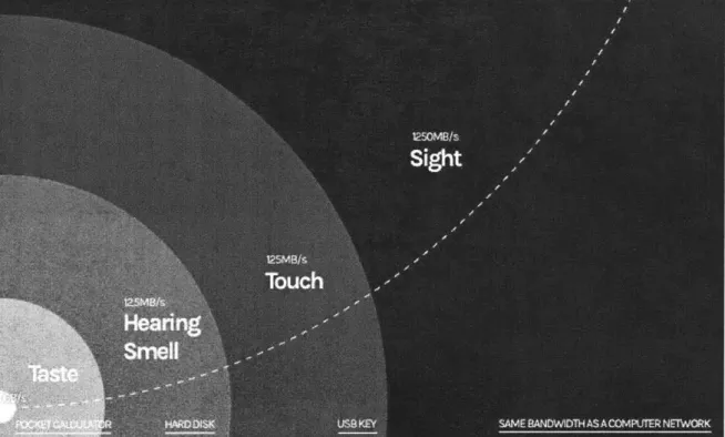 Figure 8: Rate  of data  transfer for different senses  created  by Tor  Norretranders (Data Visualization, 2079).