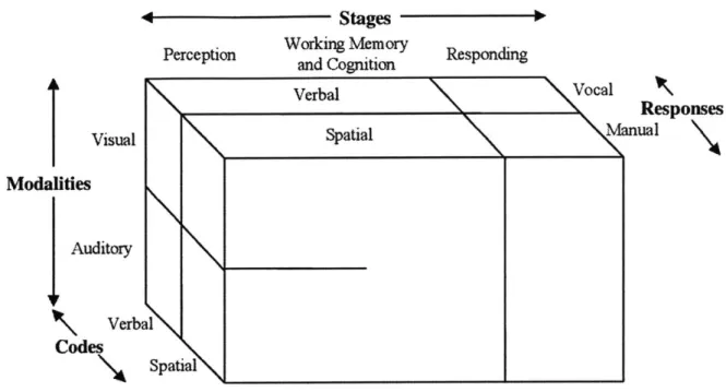 Figure 8: The  Wickens model  for human  information  processing (White, 2018).