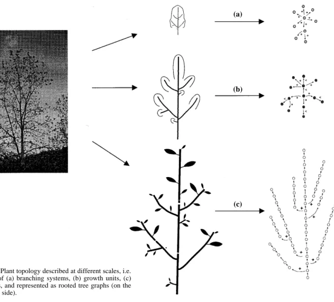 Figure 1. Plant topology described at different scales, i.e.