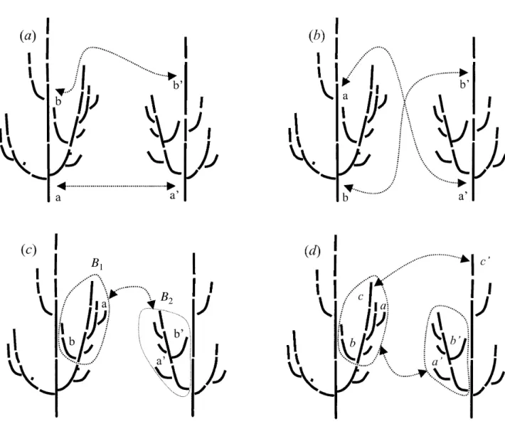 Figure 3. Allowed and forbidden matching functions in tree graph comparisons: (a) preservation of ancestor relationship, (b) non- non-preservation of ancestor relationship, (c) non-preservation of branching system, (d) non-non-preservation of branching sys