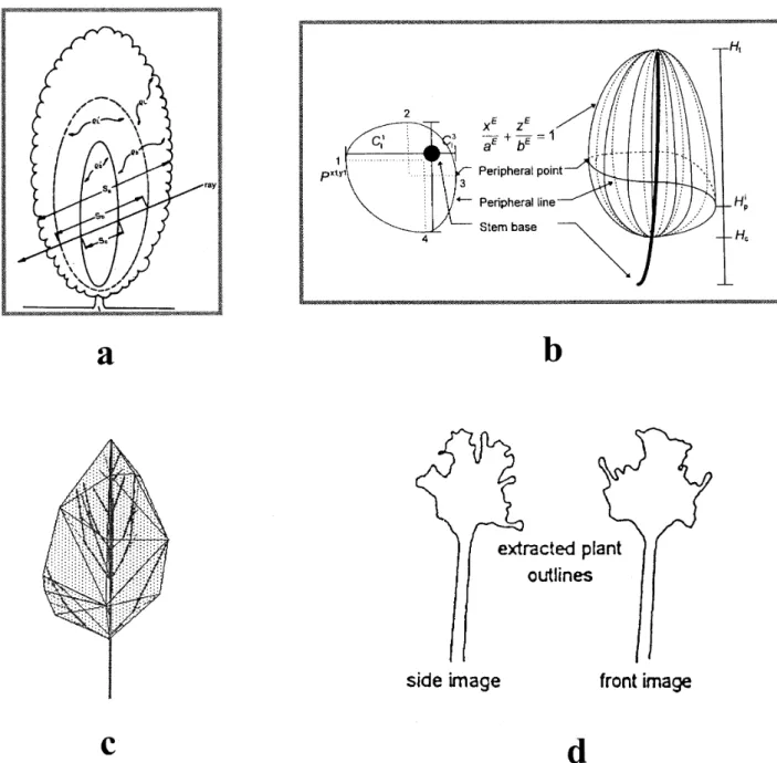 Figure 1. Global geometric representations of plant architecture using a. simple parametric model (from [84]) b