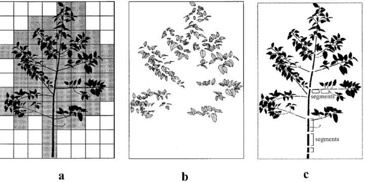 Figure 3. Modular representations of plant architecture a. spatial decomposition. Cells that contain vegetal elements are tagged with grey