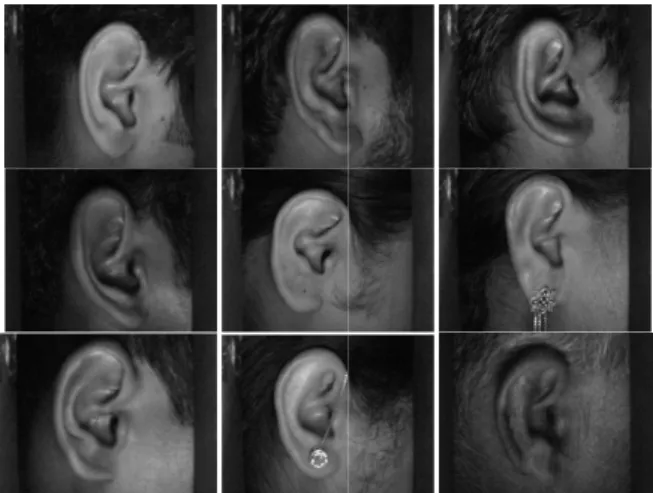 Figure 7.   Some images from IIT Delhi database [13,1
