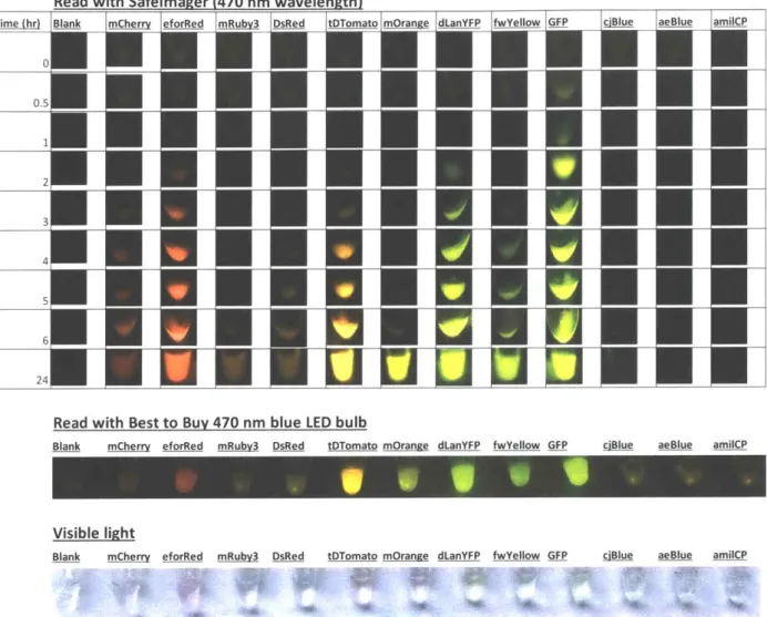 Figure  15:  Screen  of a fluorescent  protein panel to  determine  set for  kit