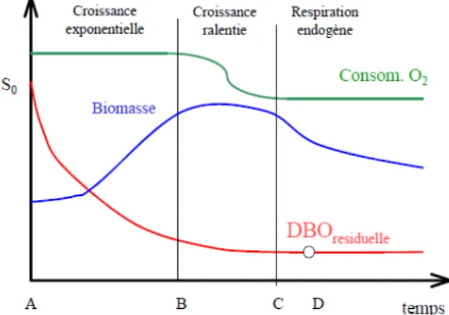 Figure 2. Schéma de l'épuration, la croissance et l'oxydation de la boue [21].
