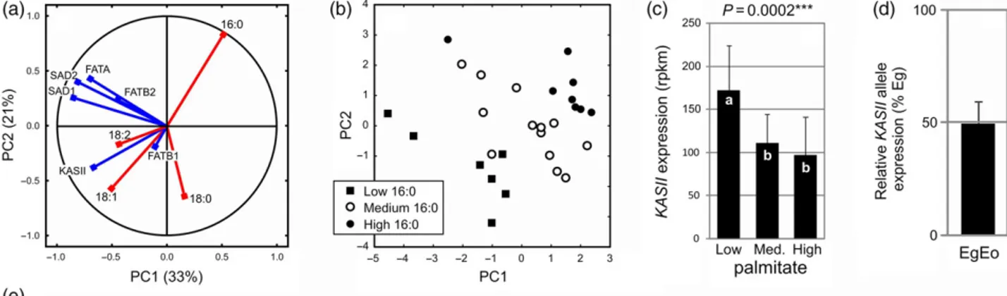 Figure 7. Influence of KASII transcript abundance during mesocarp development on oil 16:0 level.