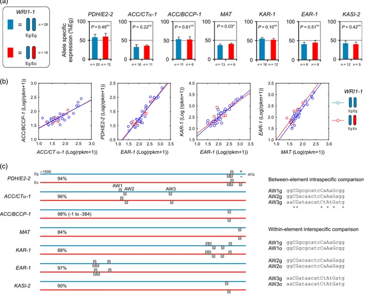 Figure 2. Effect of the genotype at the WRI1-1 locus on transcription of fatty acid synthesis (FAS) genes.