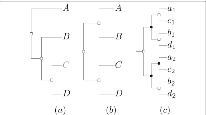 Fig. 3 Example of (a) a species tree where the placement of C is uncertain, and b) another species tree that can be derived from the first by changing the position of C