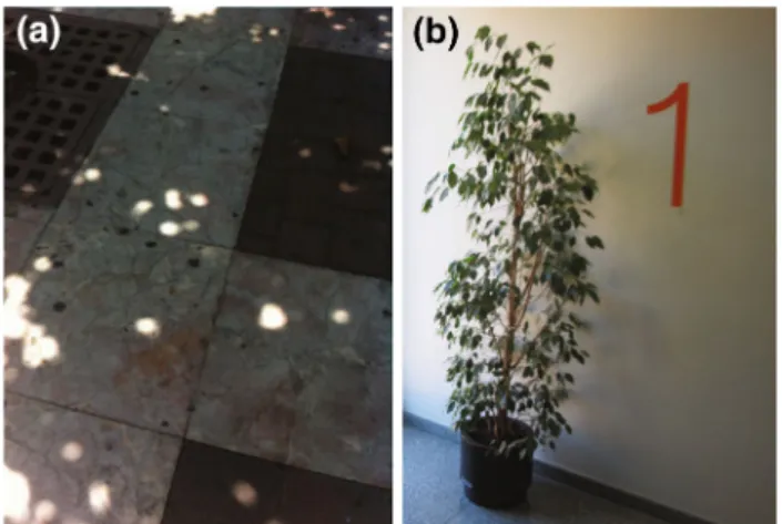 Fig. 4 (a) Shows a picture of the floor taken under the shadow of a tree.