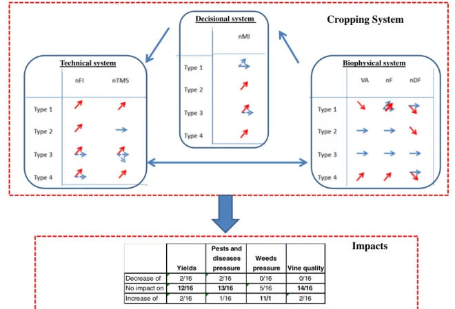 Fig. 3 The changes in complexity for the four vineyard types established on the pattern of changes during conversion to organic viticulture of the six complexity indicators (red arrows for changes in complexity and blue