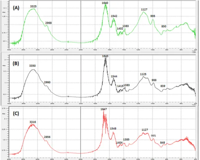 Fig. 1.FT-IR spectrometry of polysaccharides extract (AP, EP, PP) from Pinus halepensis Mill