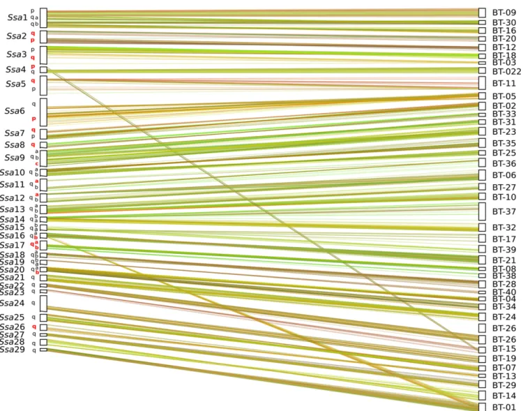 Figure S3 shows distribution of female and male marker positions along each LG for FAMILY 1