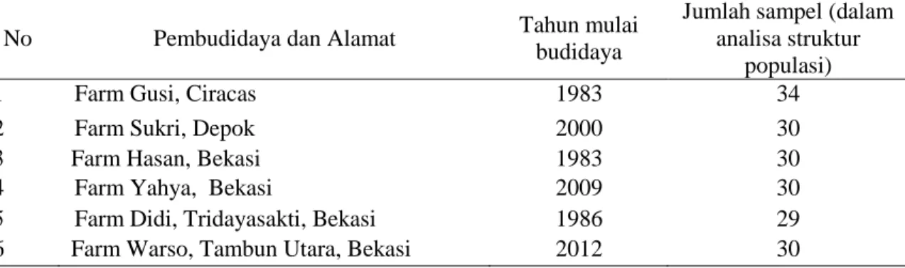 Tabel 1. Daftar pembudidaya M. boesemani di wilayah Jabodetabek 