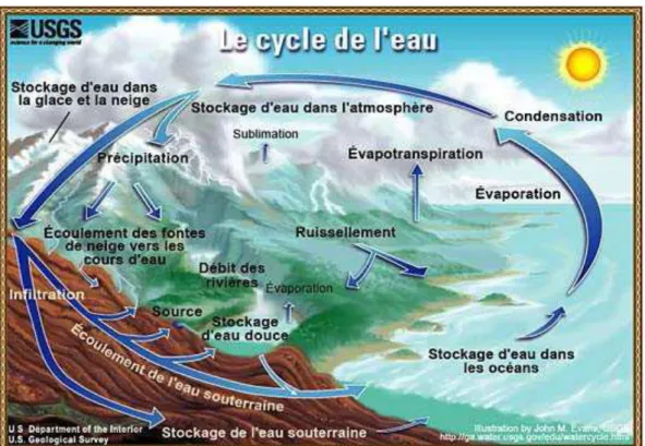 Figure I.1 : La Chaine Biologique des Transformations de L’eau  Les différentes étapes de ce cycle sont les suivantes : 