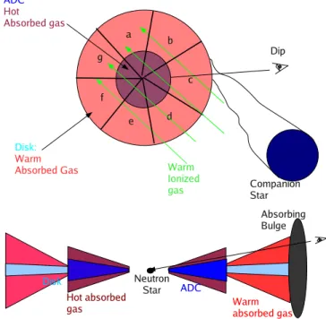 Figure 7. 4U 1624 − 490 geometry in the context of our line-of-sight view as determined from absorption line variability studies