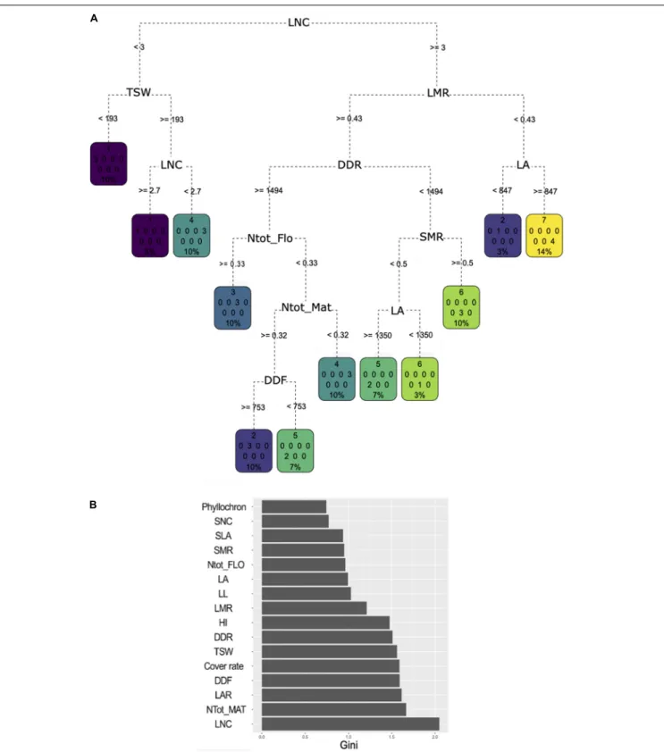 FIGURE 4 | (A) Classification and regression tree (CART) regression for prediction of membership to one of the seven clusters based a hierarchical clustering analysis of the 30 pulse varieties based on agroecosystem properties (see Figure 3)