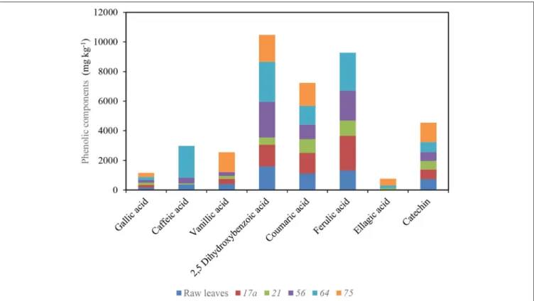 FIGURE 4 | Impact of fermentation with different lactic acid bacterium strains on different phenolic components in African nightshade (S