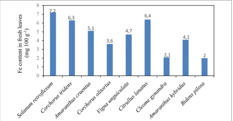 FIGURE 2 | Iron content in Solanum retroflexum leaves compared with the other traditional leafy vegetables Source (15).