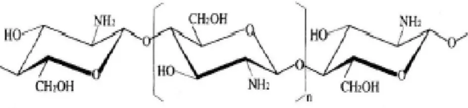 Figure 11 : La structure chimique du chitosane (Alili et Berkane, 2014). 