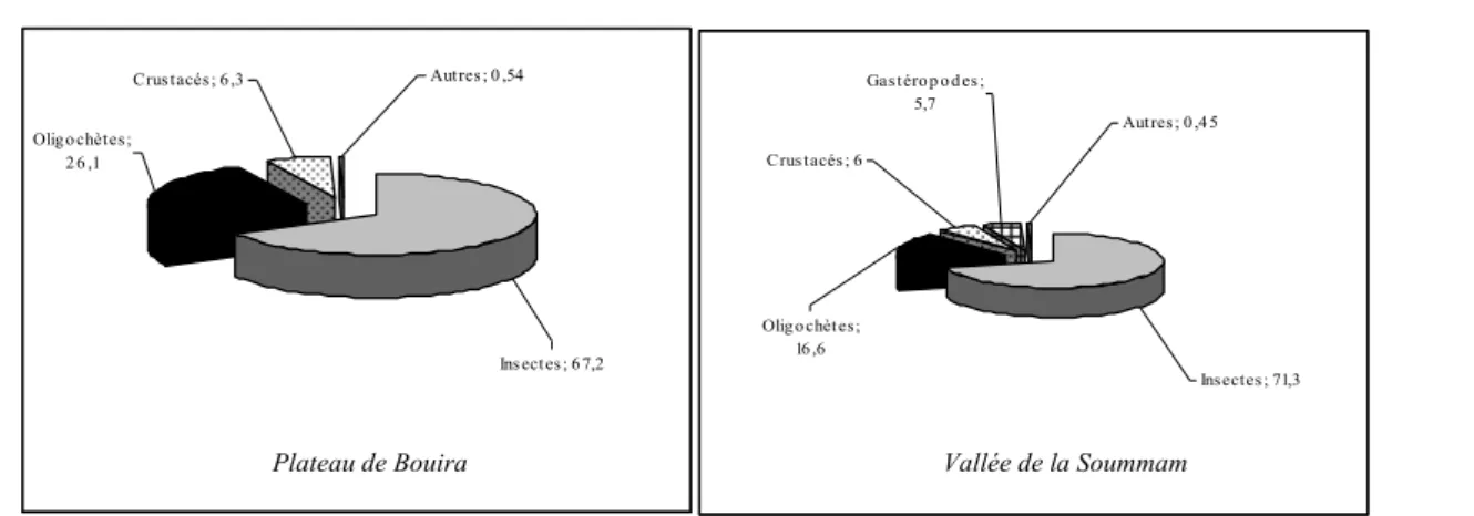 Figure 3 : Abondances relatives des principaux groupes faunistiques  prélevés sur l'ensemble des stations des deux régions