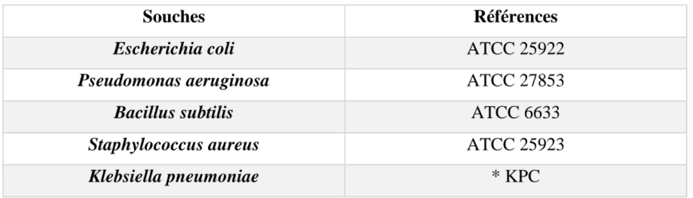 Tableau IV : Tableau représentatif des différentes souches bactériennes testée 