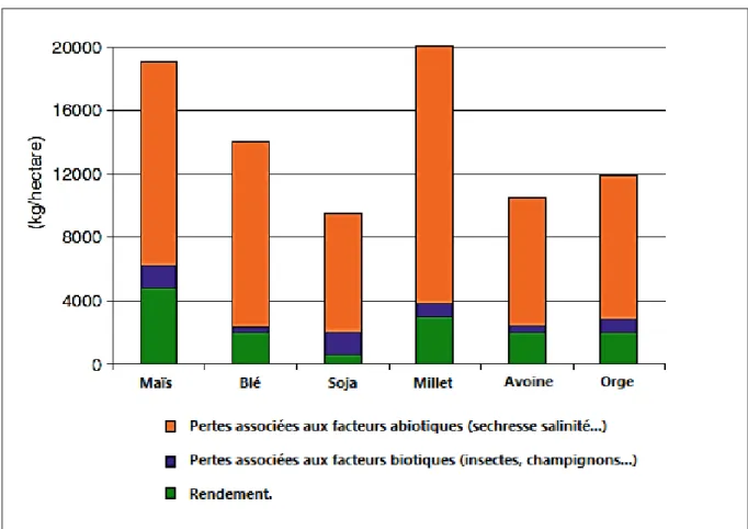 Figure  1 :  pertes  agricoles  dues  aux  facteurs  biotiques  et  abiotiques  au  niveau  planétaire  (Ashraf et al., 2012)