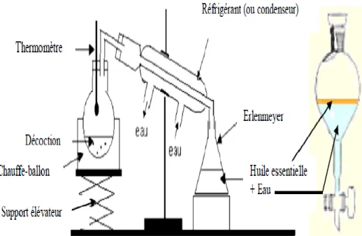 Figure 8: Dispositif d’hydro distillation (PENCHEV, 2010). 
