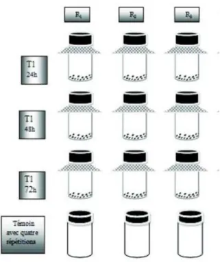 Figure 14: Dispositif expérimentale adopté pour le test d’inhalation (DERRADJI- (DERRADJI-HEFFAF, 2013)