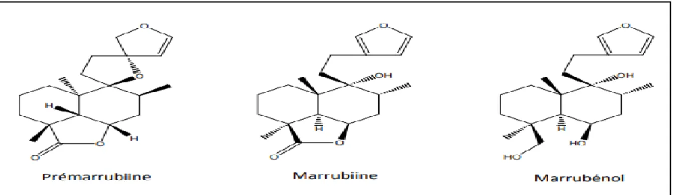 Figure 2 : Structure de quelques molécules présentes chez le Marrubium vulgare L. 