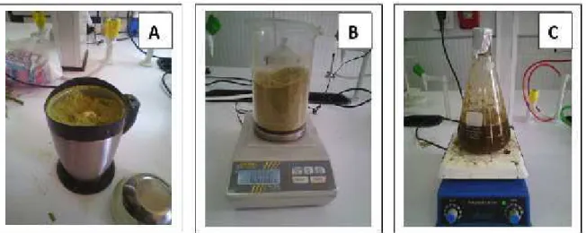 Figure 8: Protocole d’extraction aqueuse de la plante (A : Broyage ; B : Pesée ; C : Refroidissement sous agitation)