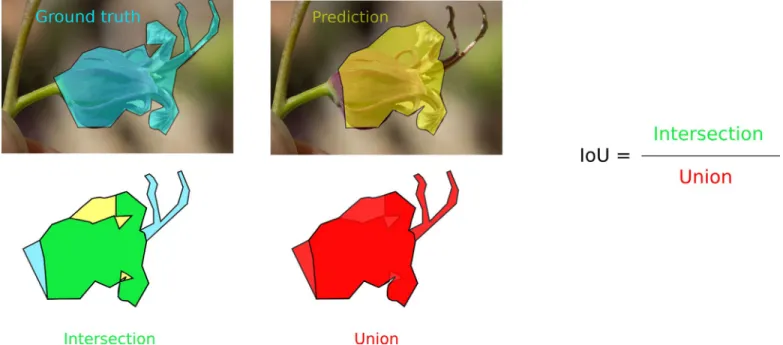 FIGURE 5.  Illustration of the masks used to compute the intersection over union (IoU)