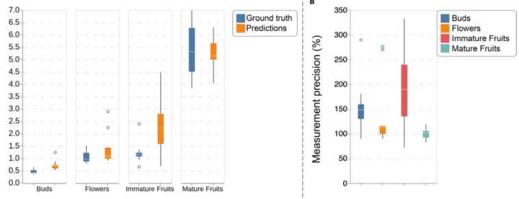 FIGURE 8.  Performance of the R-CNN-FullMask model for measuring the size of reproductive structures