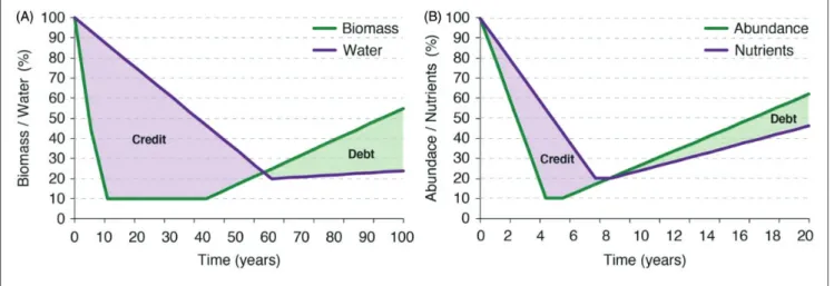 Figure 2. Panel A: Deforestation abruptly destroys forest structure but water infiltration in the soil maintains due to the high levels of organic matter that prevents an equally fast decline
