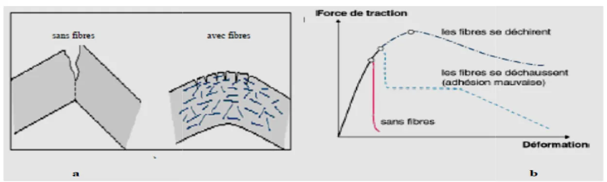 Illustration de l'apport du renfort par des fibres 