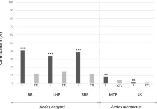 Figure 4.  Percentage of infected adults surviving after AalDV2 infection of first instar mosquito larvae for the  different strains tested of Ae