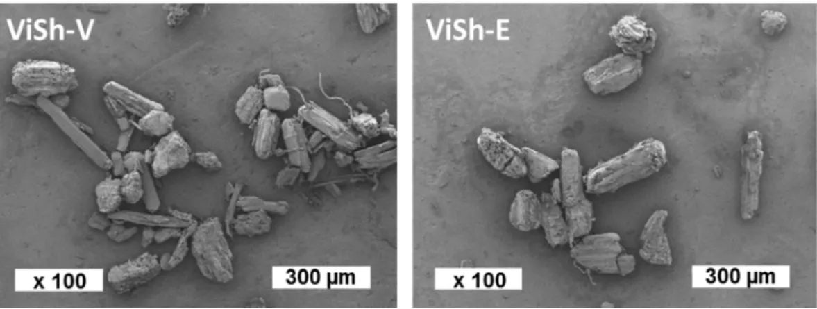 Figure 1. Scanning electron microscopy (SEM) pictures of vine shoots fillers. 