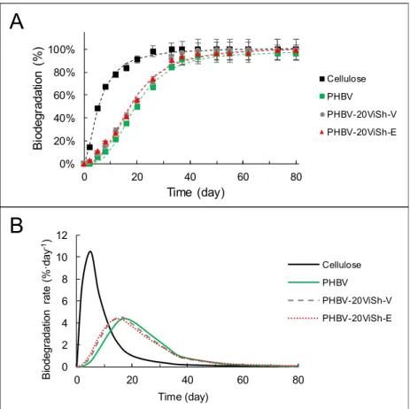Figure 5. Kinetic of biodegradation (A) and biodegradation rate (B) of PHBV-based composites in  soil