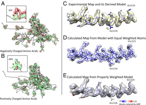 Fig. 3. Density map values for atomic positions for instances of the 20 amino acids. An optimized molecular model is colored by the  corre-sponding map value