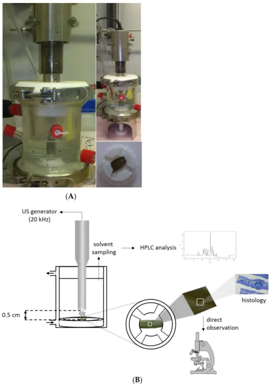 Figure 1. Abstract figure ((A), picture of the experimental setup, and sample holder, (B), experi- experi-mental methodology)