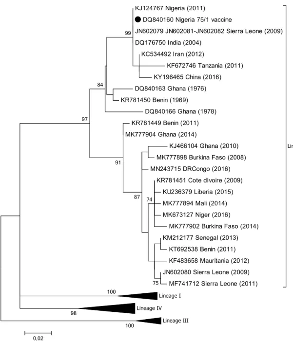 Fig. 6    Phylogenetic tree based on partial sequences of the N protein  (217 bp) gene of representative PPRV isolates of lineage II,  indi-cating sequences that are similar to the vaccine strain Nigeria 75/1,  indicated by a filled black circle